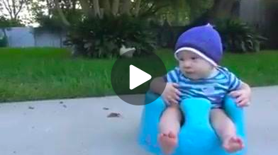 بالفيديو- أرنب يسرق طفلاً، ماذا فعلت الأم؟