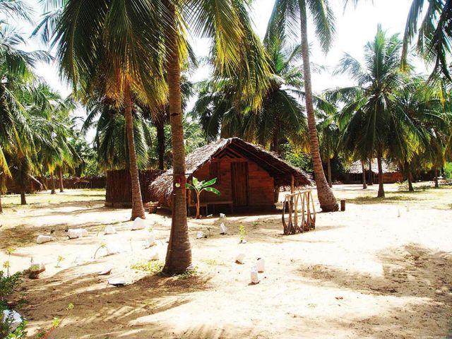 الإبحار في عالم الدلافين في كالبيتيا Kalpitya في سيريلانكا 