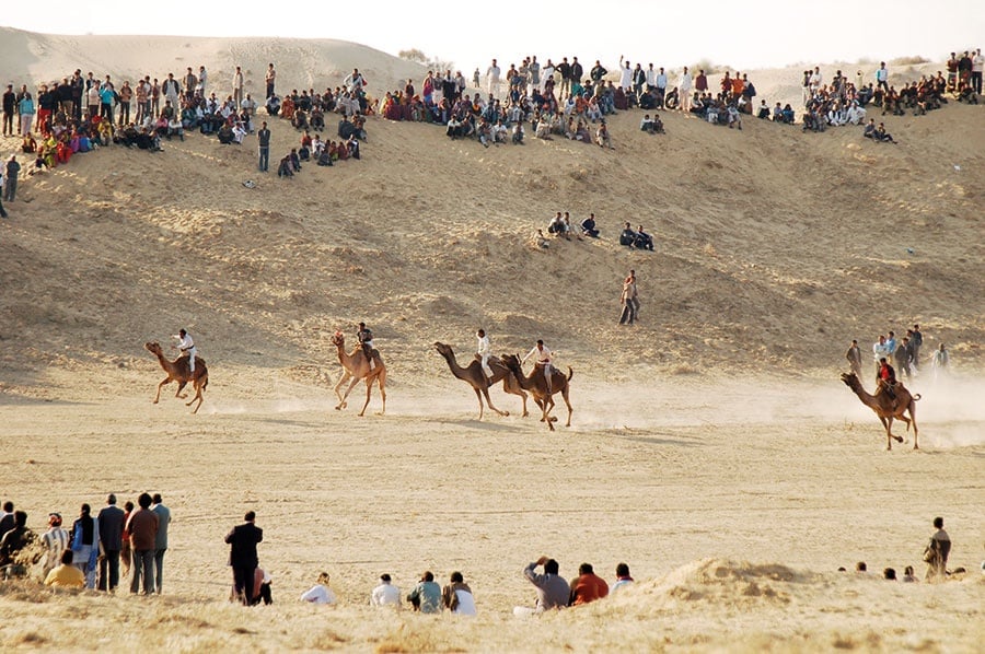 رحلة على ظهر جمل في الهند 