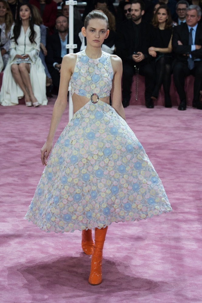 أجنحة الحلم  Flowers& Butterflies