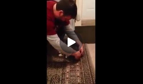 فيديو اليوم: قط يتظاهر بأنه ميت كي لا يخرج ليمشي مع صاحبه. شاهدوا ردة فعله المضحكة حين أزيلت السلسلة!