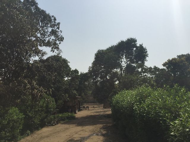 مزرعة الممثلة ليلى علوي