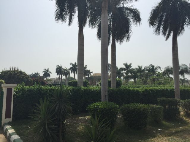 مزرعة الممثل عادل إمام