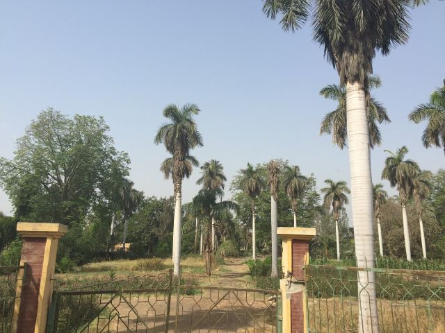 مزرعة الممثل الراحل فؤاد المهندس