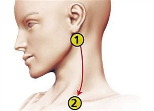 ماذا يحصل لو ضغطتم على هذه المنطقة من الجسم؟! اكتشفوا