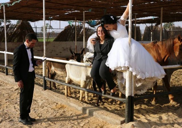 بالصور: أغرب مكان لحفلة زفاف في مصر تخيلوا أين وما سبب إختيار العروس له؟