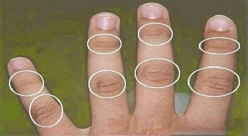 فيديو- ما هي البراجم ولماذا أوصى الرسول (ص) بغسلها عند الوضوء؟