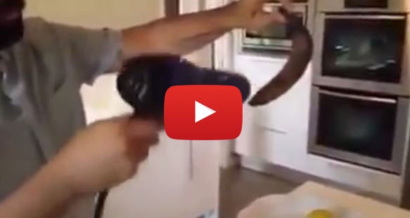 فيديو- كيف تعيد 