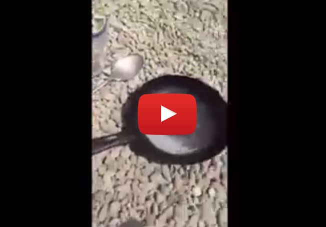 بالفيديو - طريقة مبتكرة لقلي البيضة بحرارة الشمس!