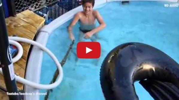 بالفيديو أطفال يلهون مع ثعبان في بركة السباحة