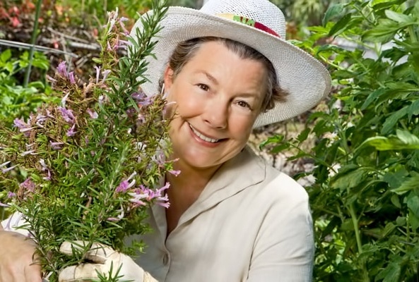 هذه العشبة تقوي الذاكرة بنسبة 75 بالمئة، أضيفيها إلى طعامك الرمضاني