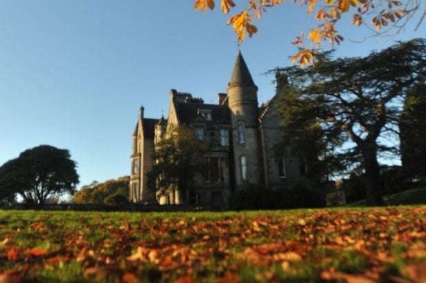 بالفيديو 600 كلب يحاولون الانتحار، والبعض يرجع السبب إلى الأشباح!!