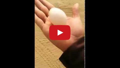 بالفيديو: شاهد كيف يبحث البدو عن المياه في الصحراء