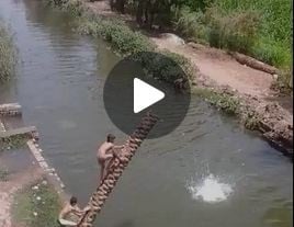 بالفيديو- أطفال في خطر بحثاً عن السعادة