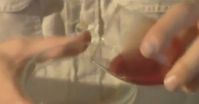 فيديو مرعب- هذا ما يحدث في دم الإنسان بعد وضع قطرة من سم الأفعى!