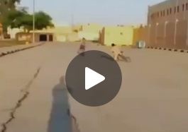 بالفيديو : لن تتخيلوا مهارة هذا الطفل في قيادة الدراجة