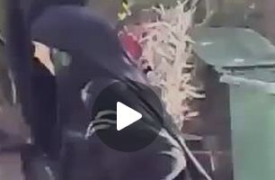 بالفيديو: معركة بين سيدة وديك تحصد ثلاثة ملايين مشاهدة فمن فاز؟