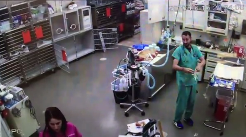 فيديو- شاهد ماذا فعل طبيب مع ممرضة في غرفة العمليات!؟