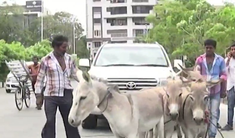 بالفيديو- رجل أعمال يضيف إلى سيارته الفخمة حماراً!! إليكم التفاصيل