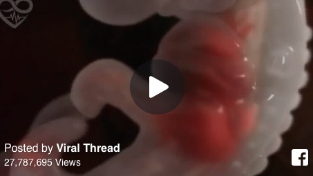 فيديو مدهش- 9 أشهر من الحمل في 4 دقائق...