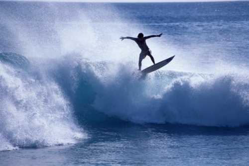 بالفيديو - قرش يهاجم راكب أمواج أمام الكاميرا مباشرةً