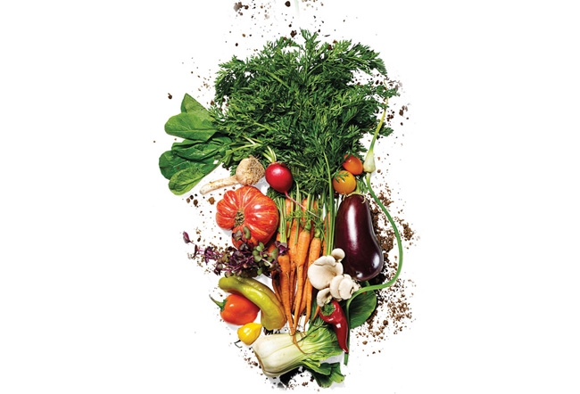 بدانة الأطفال ظاهرة خطيرة يمكن التصدي لها