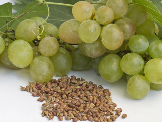 فوائد مذهلة لبذور العنب... اكتشفوا ما هي