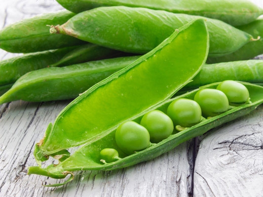 البازيلا الباردة لمحاربة السرطان