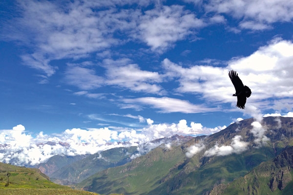 قمم في العالم فردوس هواة التسلّق ومحترفيه