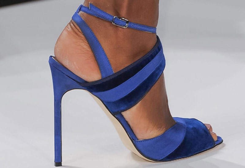 حذاء Carolina Herrera لخريف وشتاء <strong>2013/2014</strong>