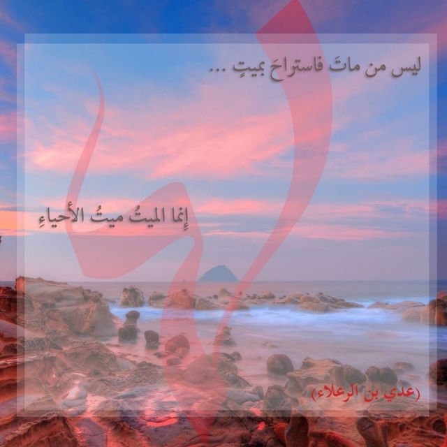 فشلوا في تفسير الموت لكنهم قالوا فيه أروع الحكم... هذه أبرزها