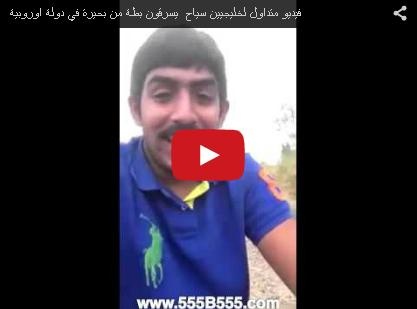 بالفيديو - شبان خليجيون يخطفون بطة من بحيرة في أوروبا ويطهونها