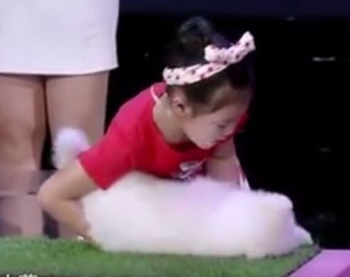 بالفيديو- طفلة تجبر الحيوانات على النوم!!