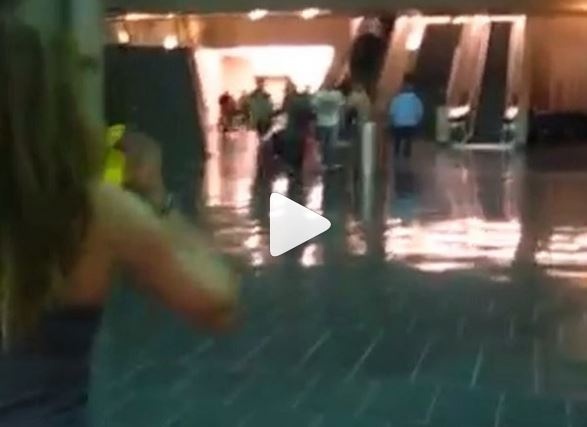 بالفيديو- مشهد رومنسي بين عاشقين أشعل انستغرام