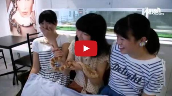 بالفيديو- مقهى يتيح فرصة شرب القهوة بصحبة ثعبان!