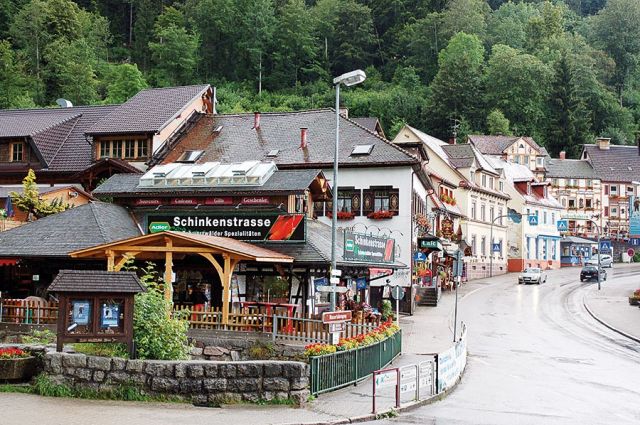 الغابة السوداء في ألمانيا 