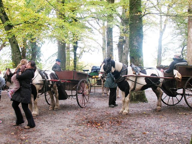 كيري في إيرلندا