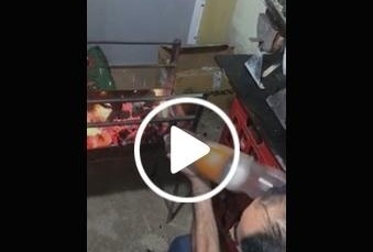 بالفيديو– طريقة سهلة لإشعال الفحم في الموقد