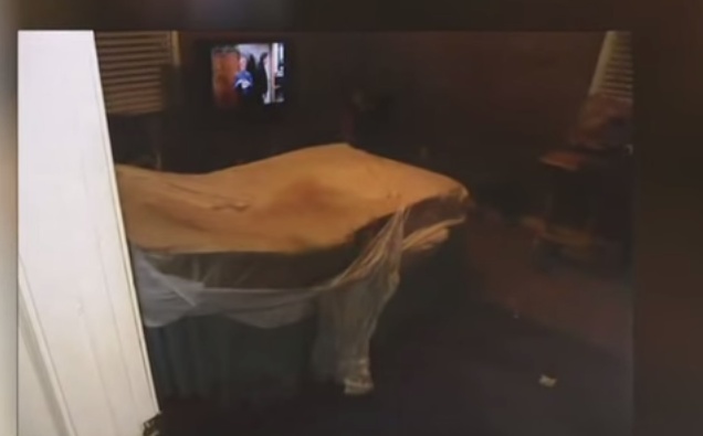 بالفيديو - إمرأة تحبس شقيقها مع الصراصير لـ 7 سنوات، شاهدوا ماذا حل بها