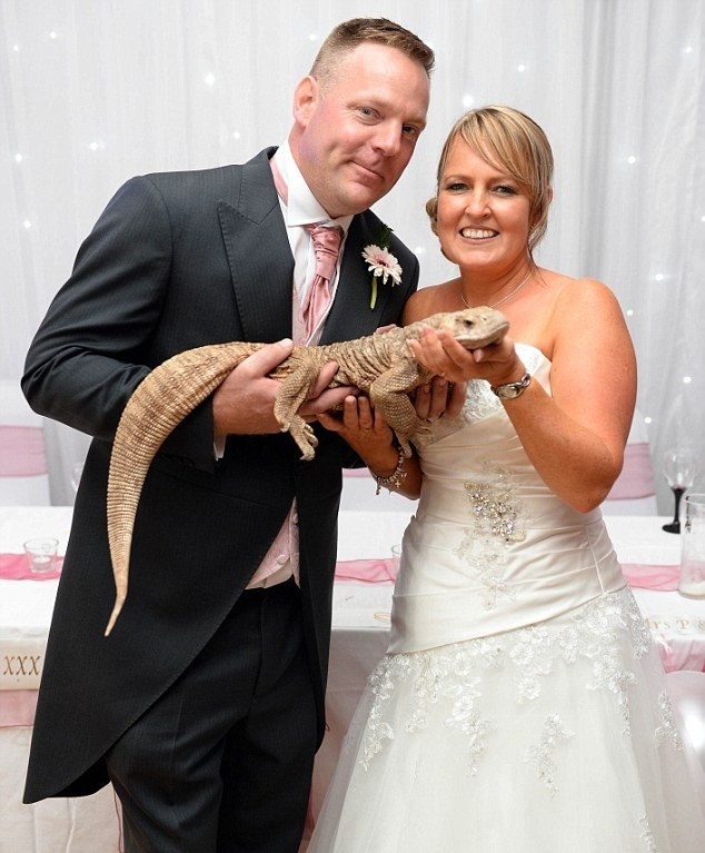 بالفيديو- عروسان يدعوان 30 حيواناً إلى حفل زفافهما