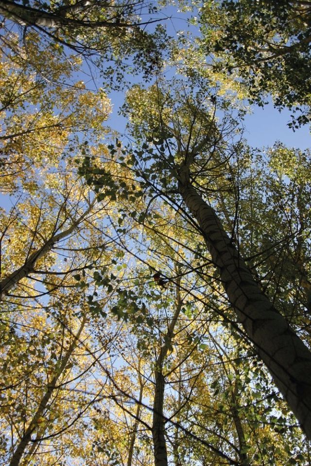 أندلوسيا في إسبانيا والمشي الجبلي 