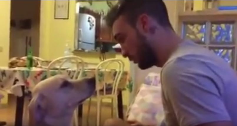 بالفيديو - كلب يعتذر لصديقه يثير ضجة على 