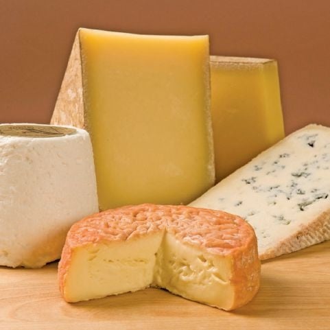 مجين يكشف أسرار الجبن العفن