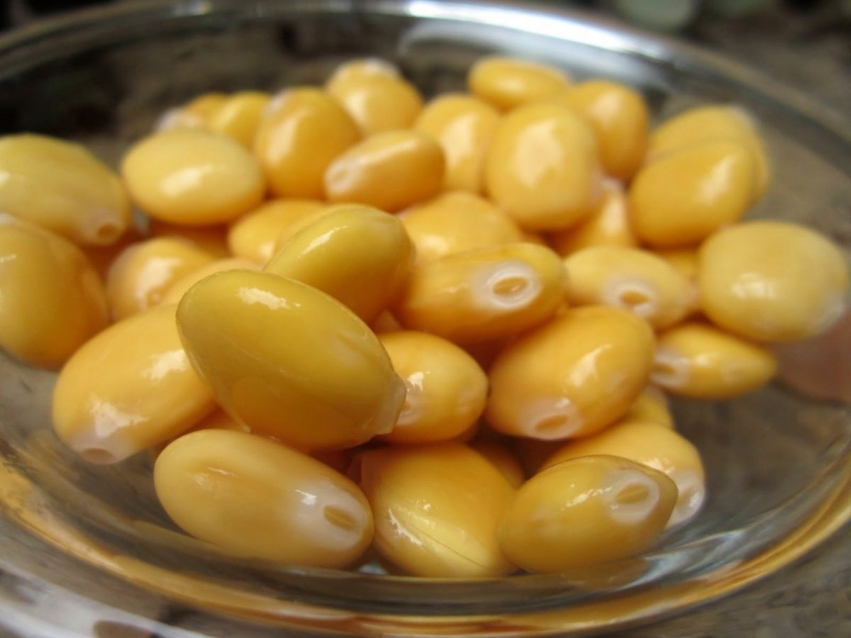 الترمس ليس للتسلية فقط... هذه فوائده لانقاص الوزن وللإعتناء بالشعر والبشرة