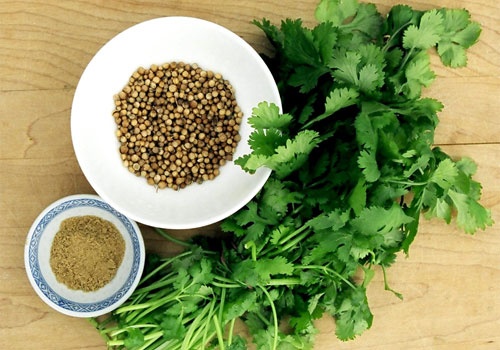 5 فوائد صحية مدهشة للكزبرة