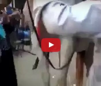 بالفيديو– شاهدوا أغرب زفة عروس