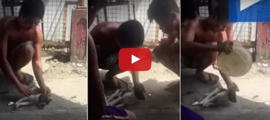 بالفيديو - رجل يعيد كلباً من الموت بالتنفس الإصطناعي