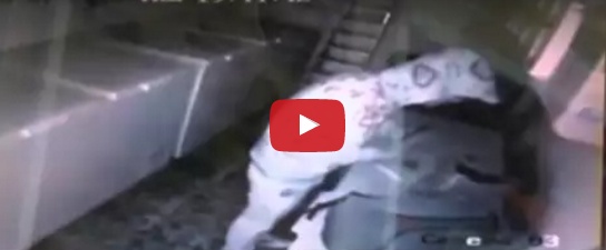 بالفيديو- لصان يحتجزان شابة في براد البوظة بعد اجبارها على خلع ثيابها