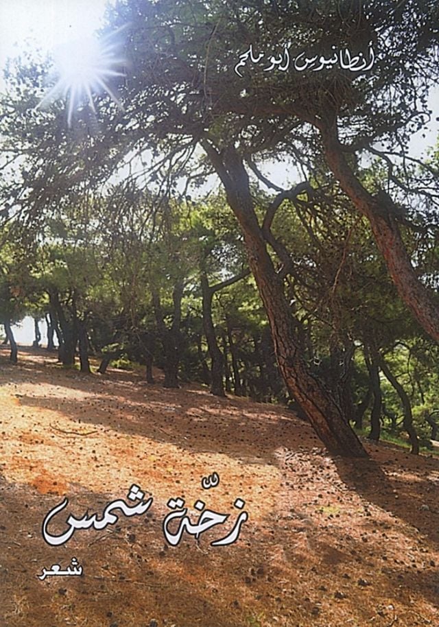 «زخة شمس» ديوان بين العامية والفصحى