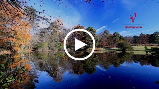 أخبار سارة: علماء وزعماء وفنانين ولاعبين، ولدوا في شهر أكتوبر، من هم؟